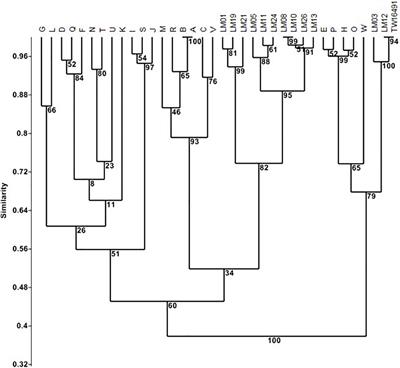 Zoonotic Transmission of Campylobacter jejuni to Caretakers From Sick Pen Calves Carrying a Mixed Population of Strains With and Without Guillain Barré Syndrome-Associated Lipooligosaccharide Loci